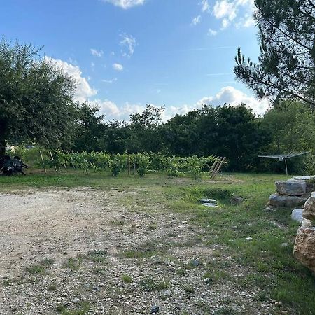 Au Coeur Des Bois Apartment Saint-Germain-du-Salembre Екстериор снимка